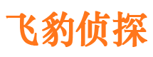 仙桃市侦探调查公司